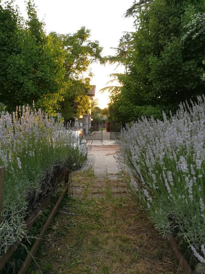 Falco Bianco San Daniele del Friuli Exterior foto